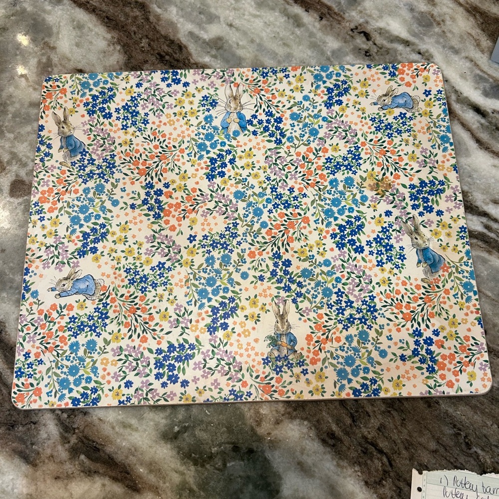 Pottery Barn x Beatrix potter cork placemat one stain GUC